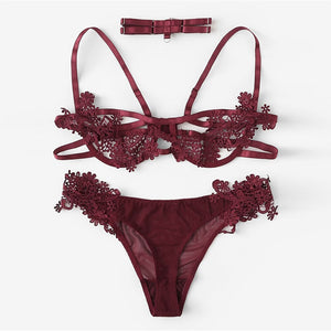 Burgundy Embroidery 2 Pcs Transparent Bra Set